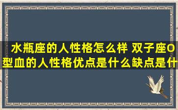水瓶座的人性格怎么样 双子座O型血的人性格优点是什么缺点是什么呢